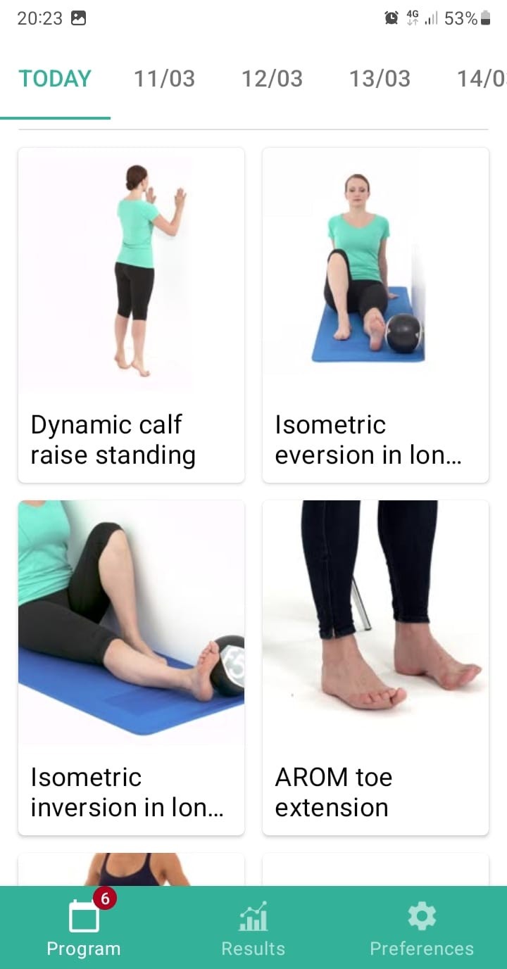 Online exercise program Ankle instability