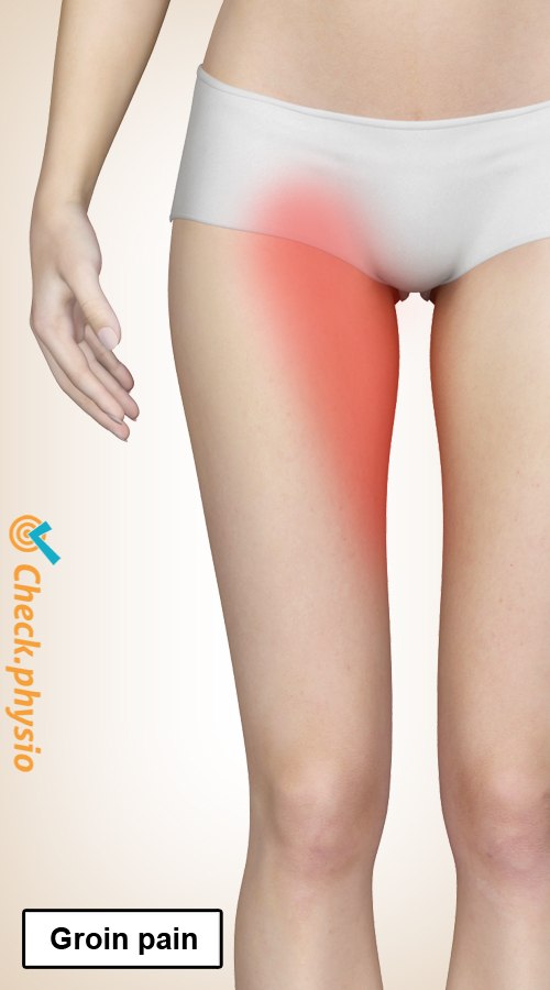 hip groin pain injury adductors location