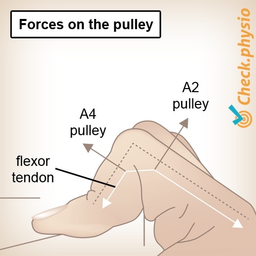 hand finger pulleys traction